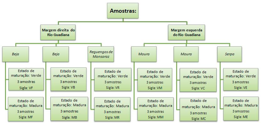 Figura 9 Esquema das amostras em estudo As amostras em estudo estão representadas pelas siglas indicadas na figura anterior, e estão identificadas na figura 10 que também referencia o Rio Guadiana,