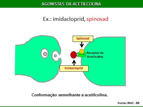 1. NEUROTÓXICOS QUE ATUAM NA TRANSMISSÃO SINÁPTICA 1.2.