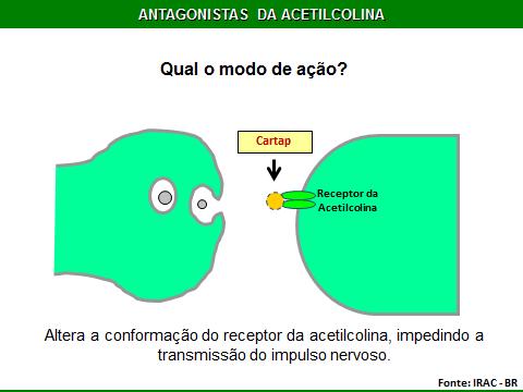 1. NEUROTÓXICOS QUE ATUAM NA TRANSMISSÃO SINÁPTICA 1.2.