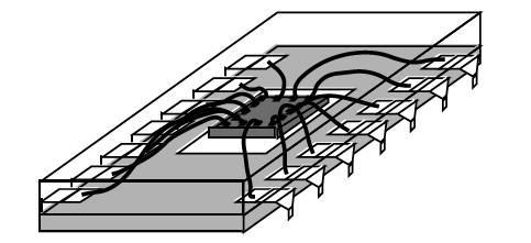 Cristal de silício o circuito