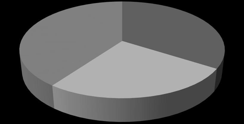 50% 45% 44% 40% 35% 30% 25% 22% 20% 15% 10% 8% 10% 16% 5% 0% Fundamental Incompleto Fundamental completo Médio Superior incompleto Superior completo Gráfico 1 Instrução do MEI Fonte: Dados de