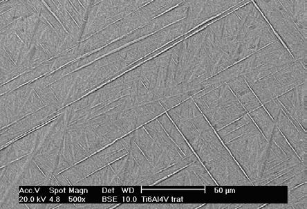 Figura 7: Micrografia da amostra da liga Ti-6Al-4V  observada