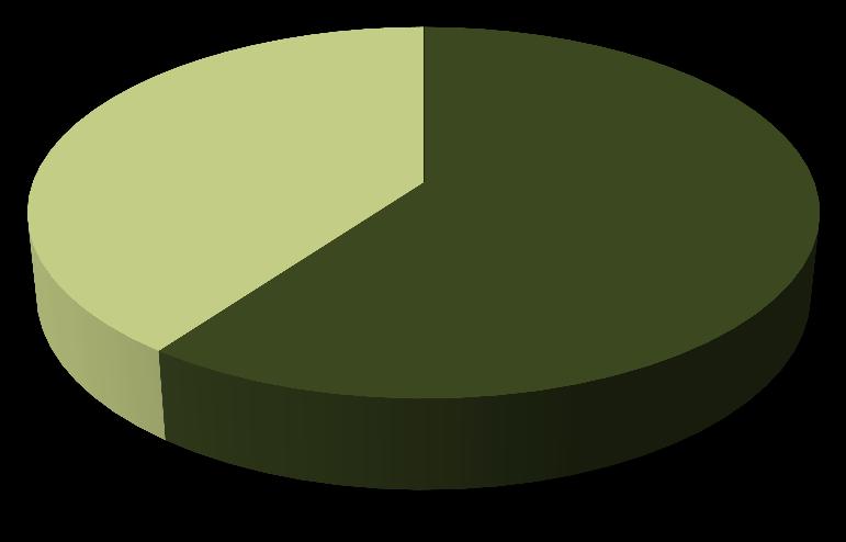 Qtd de ações (milhares) % em circulação N de investidores %