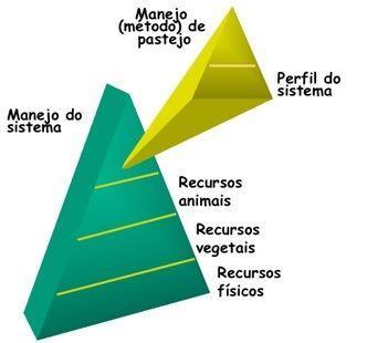 Figura 18 - Arranjo "hierárquico" de fatores no estabelecimento de um sistema de pastejo. Fonte: Adaptado de Sheath & Clark (1996).