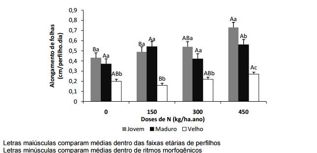 5.3 Importância do perfil etário da população O perfilhamento gera mudança na estrutura do pasto e interfere com o perfil de idade da população, ou seja, com a distribuição e proporção de perfilhos