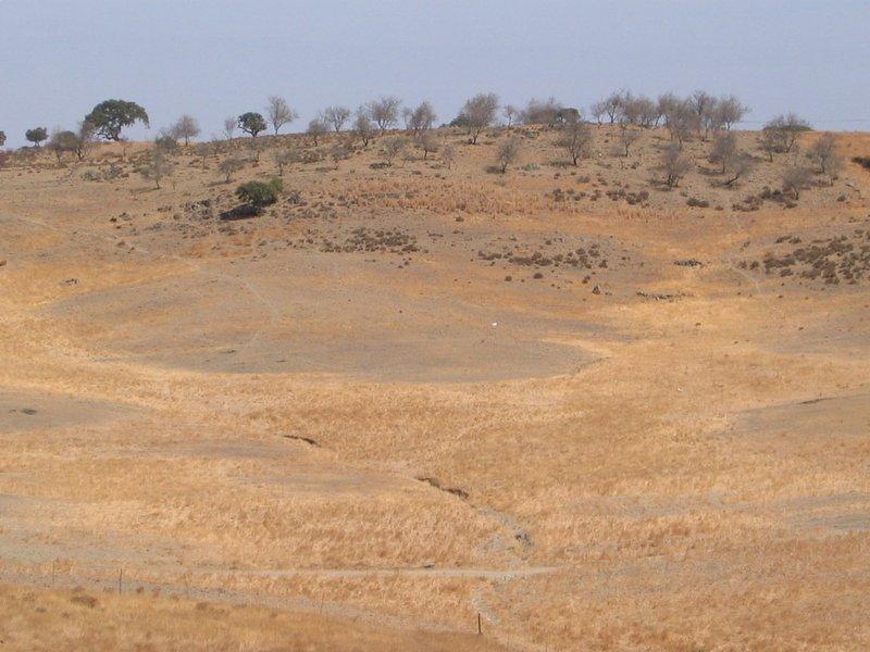 Desertificação no Alentejo Foto: M.J.