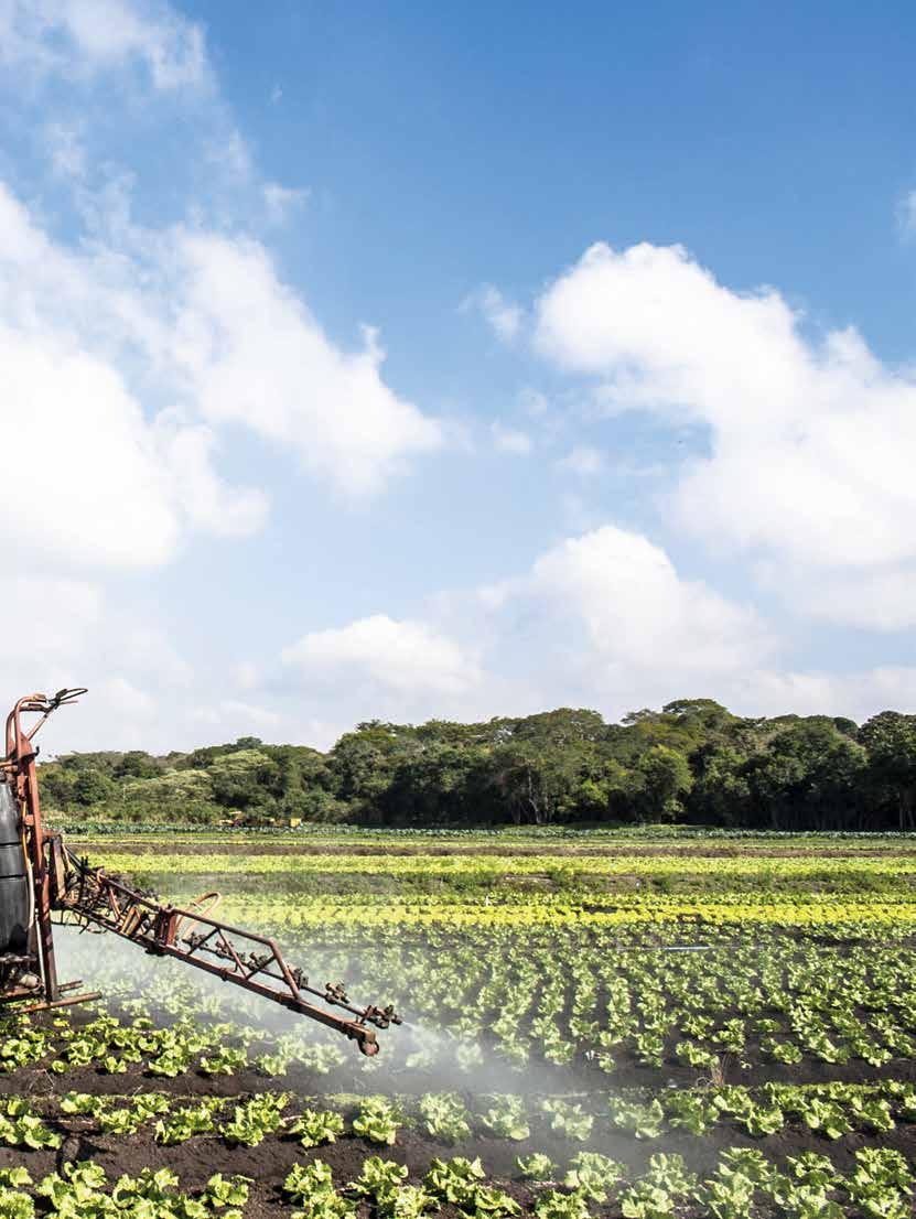 11 a venda de máquinas e equipamentos agrícolas no governo Dilma.