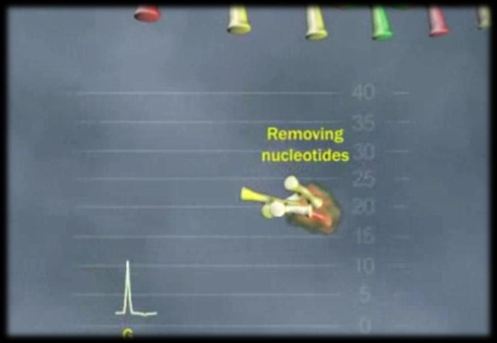 Nucleotídeos não incorporados e ATP são degradados pela