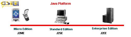 Figure 2 - Smartphone The second is a PDA with characteristics of mobile phone, called WDA.