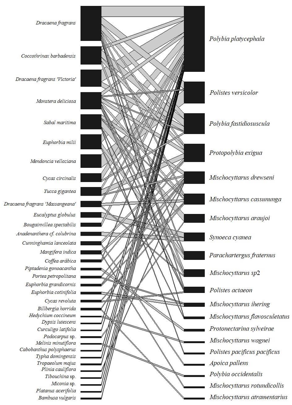 46 Figura 8: Rede de interação entre vespas e plantas composta por 20 espécies de vespas e