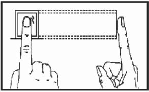 Forma correta: CERTO Dedo perpendincular e centralizado Procure sempre colocar o dedo no centro do sensor (verticalmente e horizontalmente), conforme a figura acima.