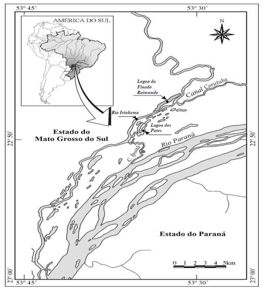13 Fig. 1. Área de estudo, planície de inundação do alto rio Paraná, e localização dos pontos de amostragem (rio Ivinhema; lagoa dos Patos; lagoa do Finado Raimundo). Tabela 1.