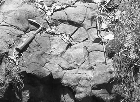 Figura 2 - Detalhe mostrando a estrutura amigdaloidal presente no topo dos derrames basálticos Tapirapuã. Figura 4 - Fotomicrografia do basalto Tapirapuã mostrando textura subofítica.