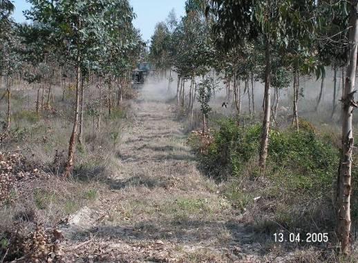 Controlo de vegetação Controlo com motorroçadora Técnica que não mobiliza o solo, afetando apenas a parte aérea