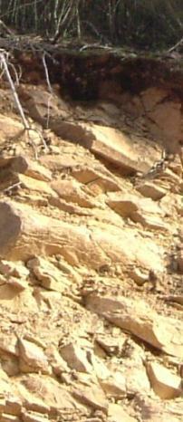 Solos Rocha de origem Formações