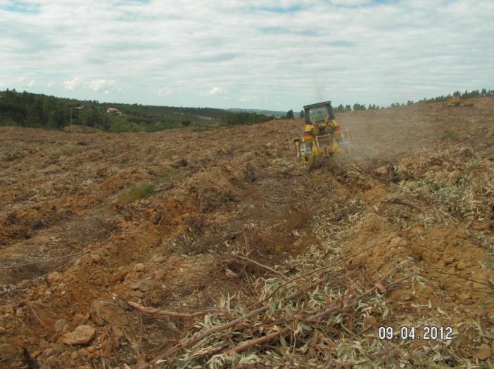 Alguns exemplos Navigator Forest Portugal Mobilização parcial em