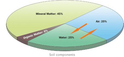 Solos Propriedades morfológicas, físicas, químicas e biológicas Elementos essenciais para o crescimento das plantas: C, H, O, N, P, K, Ca, Mg, S, Fe, Mn, Cu, Zn, B, Mo, Ni, Si e Co A fertilidade do