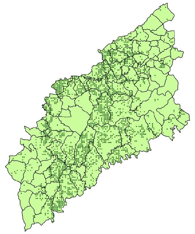 A floresta de eucalipto no Pinhal Interior Norte Segundo o IFN5 (2005/06), no Pinhal Interior Norte estão localizados: 4% da floresta do continente 7% do eucaliptal nacional Segundo o INE (2013), no