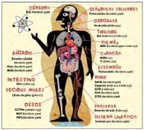 Fonte: Thrall,J.H. (Figura 2.5) Órgãos e principais fármacos utilizados em Medicina Nuclear. Fonte: Biodieselbr 2.