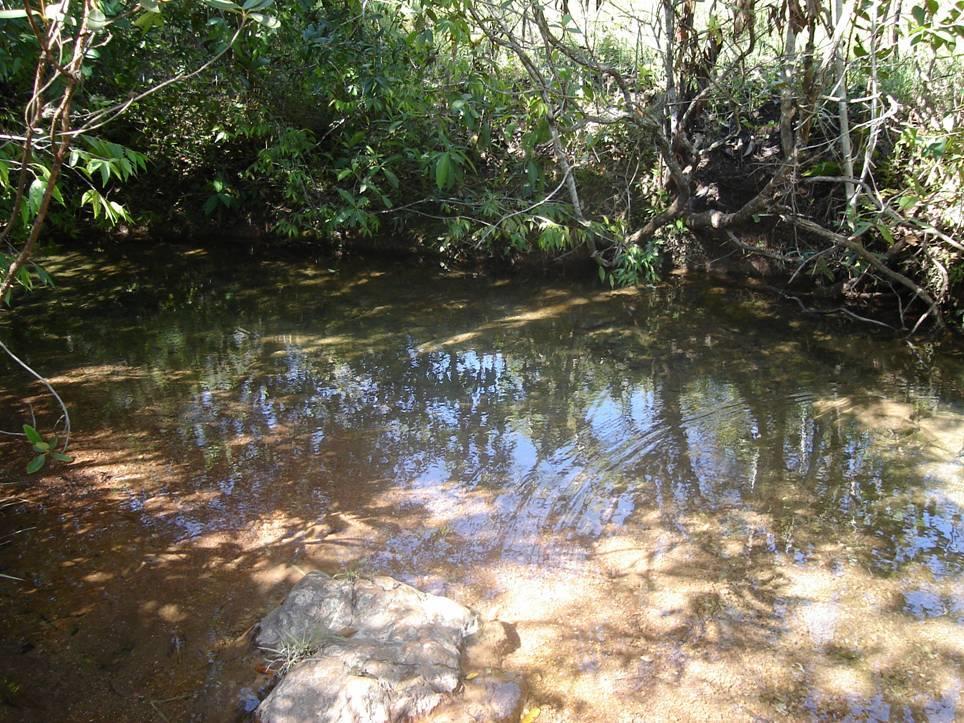 Biomonitoramento na bacia hidrográfica