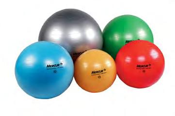 Suiça) FIT BALL - TORIAN Resistência - Até 300