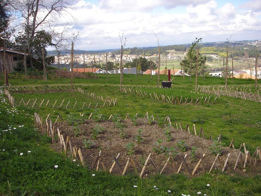 Equipamentos edifício de apoio e jardim