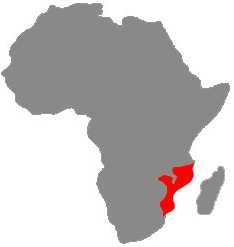dez cidades principais 52, têm importância económica dentro da região em que inserem, mas destacam-se três grandes centros urbanos maiores: a Sul, a cidade de Maputo, ao centro, a cidade da Beira e a