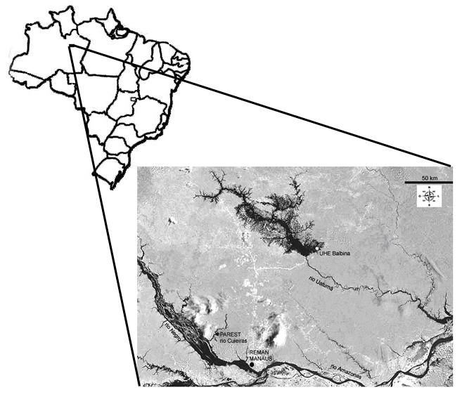 Figura 2. Mapa indicando os locais de coleta dos espécimes analisados: UHEBalbina 01 