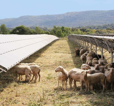 TRÊS IMPACTOS AMBIENTAIS ESPECÍFICOS ENERGIA SOLAR Uso dos solos A Albioma opera um parque de centrais fotovoltaicas composto por metade de centrais sobre telhados por metade de centrais em solo.