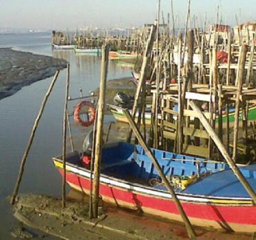 Desde Tróia à Comporta, percorrendo os trilhos dos Arrozais até à Carrasqueira para conhecer o tradicional porto de pesca Palafita.