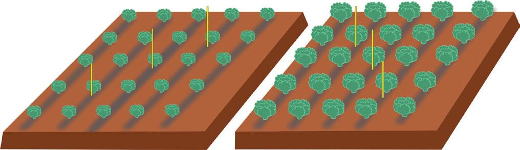 Essa avaliação não fornece, em regra, interpretação confiável sobre a real necessidade de irrigação, exceto durante a fase inicial de estabelecimento das plantas, e nenhuma informação sobre o tempo