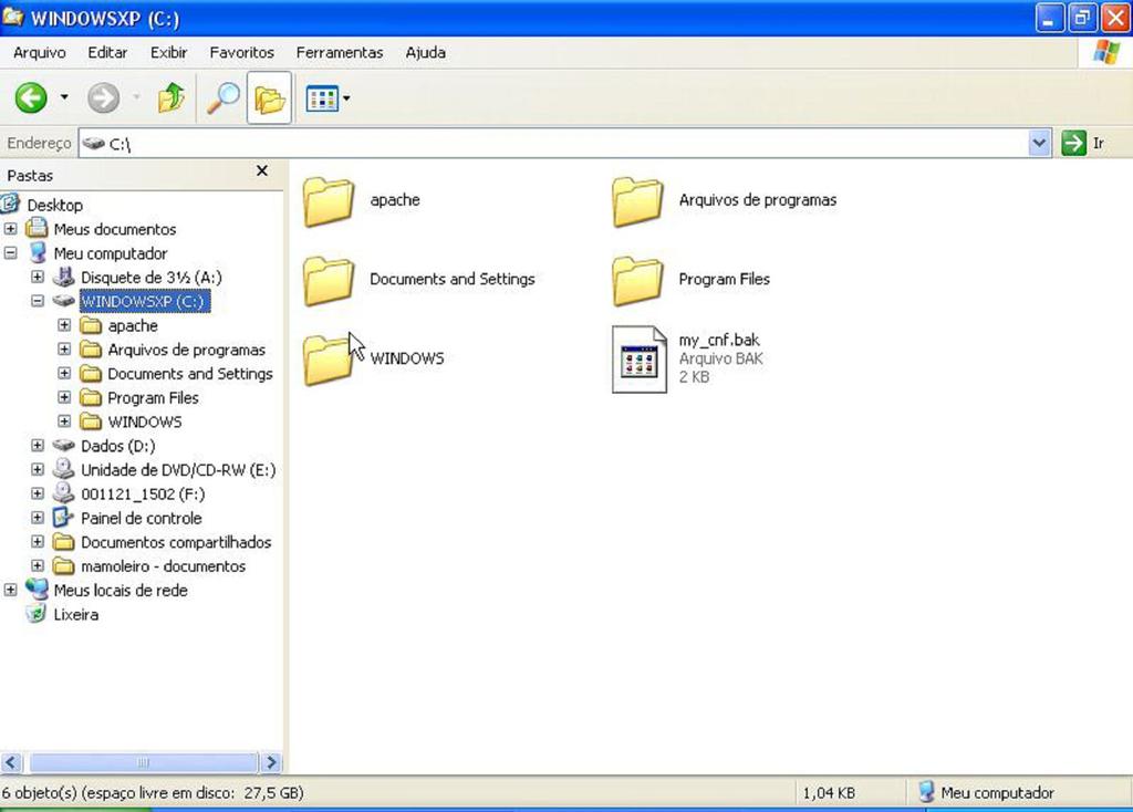 Windows Explorer O Windows Explorer tem a mesma função do Meu Computador: Organizar o disco e possibilitar trabalhar com os arquivos fazendo, por exemplo, cópia, exclusão e mudança no local dos