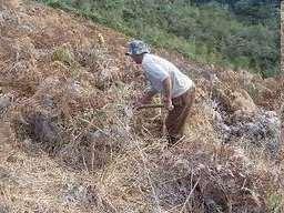 Limpeza em faixas e