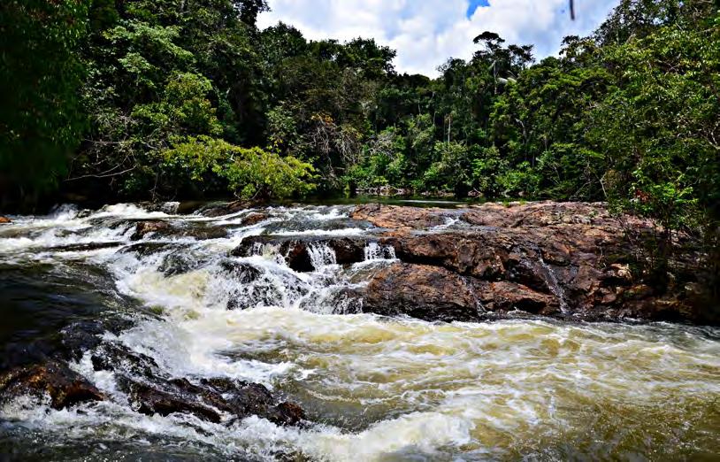 Foto: Dilson Vargas Peixoto Igarapé Karipunas (KAM e KAF) Afluente da margem esquerda, localizado imediatamente a jusante da Cachoeira de Jirau.