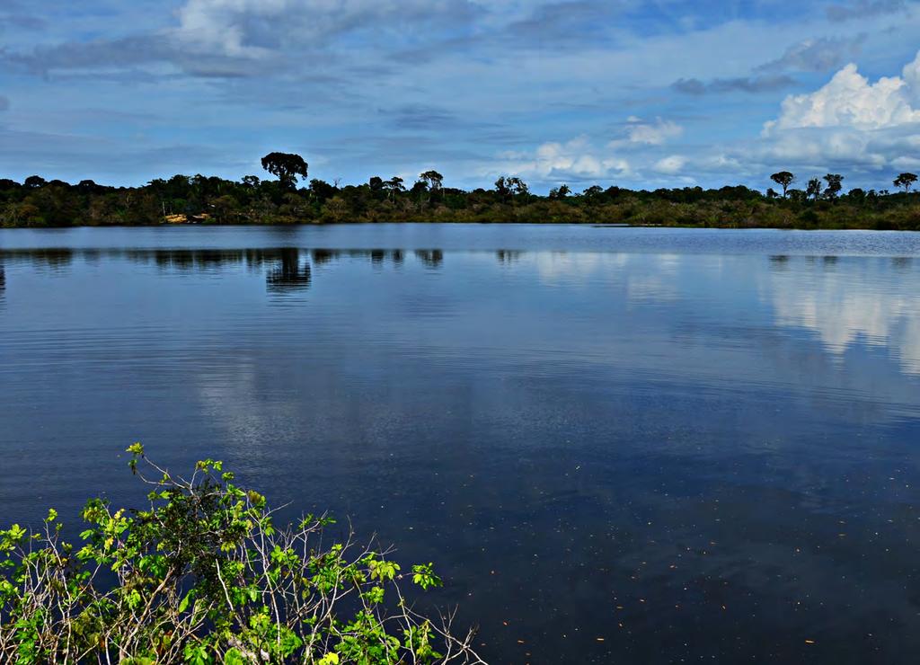 Foto: Diogo B. Hungria 45 Lago Puruzinho (PUR) Localizado na margem direita imediatamente a jusante da cidade de Humaitá, no Amazonas. Este lago possui uma área aproximada de 3.