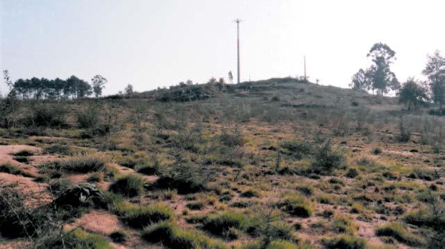 Figura 1. Monte da Cimalha antes do início da escavação. e os relevos periféricos que delimitam o concelho de Felgueiras a Oeste e Sudoeste.