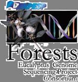 Melhoramento Genético Florestal