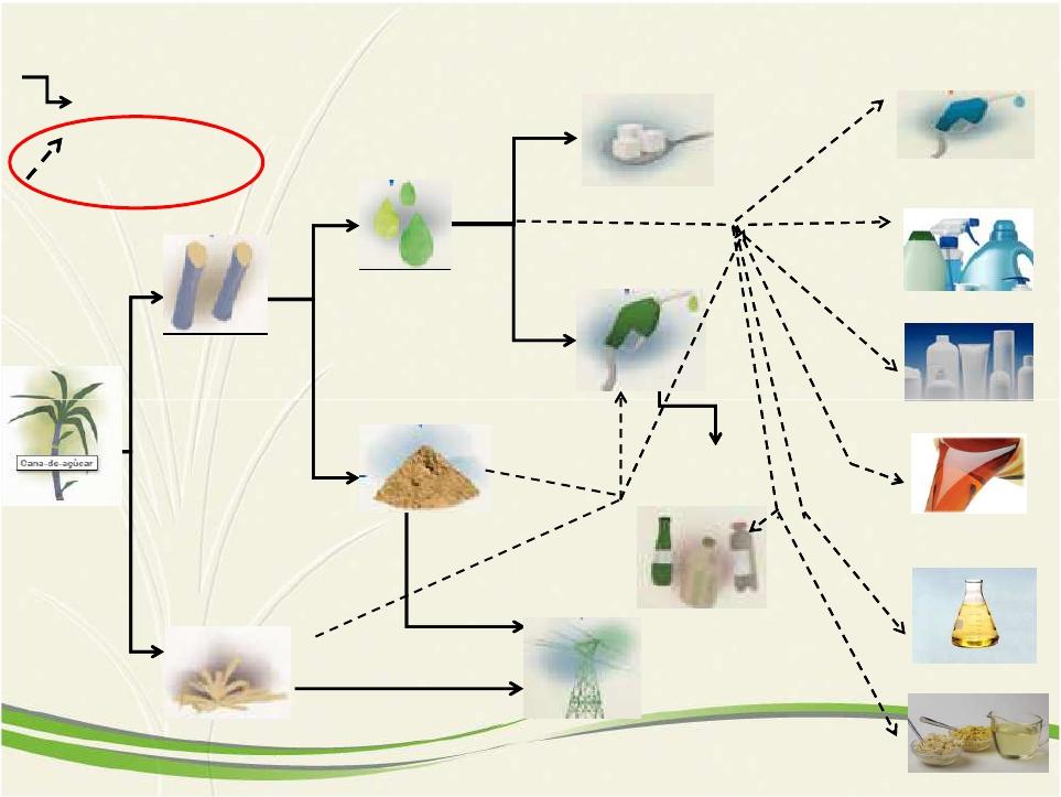 SUGARCANE PRODUCTS: STEP BY STEP Current technology Sugar Drop in fuels (Diesel, jet fuel, gasoline) Source: UNICA Technology under development Cane stalks Cane juice