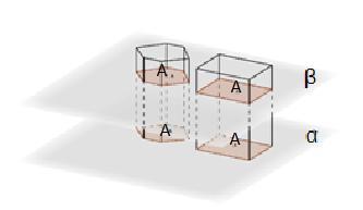 β um plano paralelo a α que secciona P 1, β também irá seccionar P 2. Ainda, as secções têm áreas iguais, pois são congruentes as bases. As Figuras 41 e 42 mostram o caso em que o prisma é hexagonal.