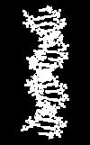 Técnicas de hibridização (sondas genéticas); PCR (Polimerase Chain Reaction) e suas