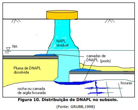 Distribuição de