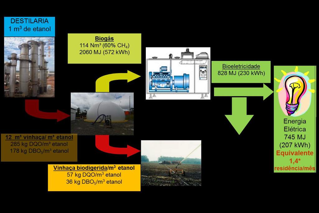 Pode-se estimar o potencial de produção de biogás e de energia elétrica do uso da tecnologia, considerando-se como média, 1.000 litros de etanol produz 12.