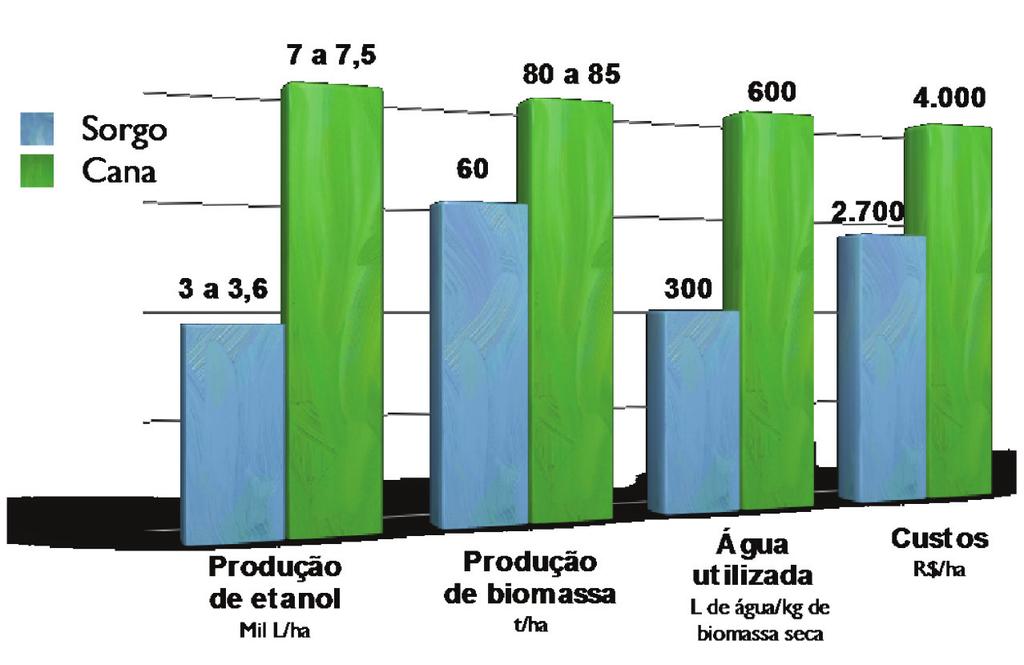 Fontes: Embrapa e Monsanto O Sorgo Sacarino complementa a produção de cana-de-açúcar e é uma matéria-prima ideal para produção de etanol.
