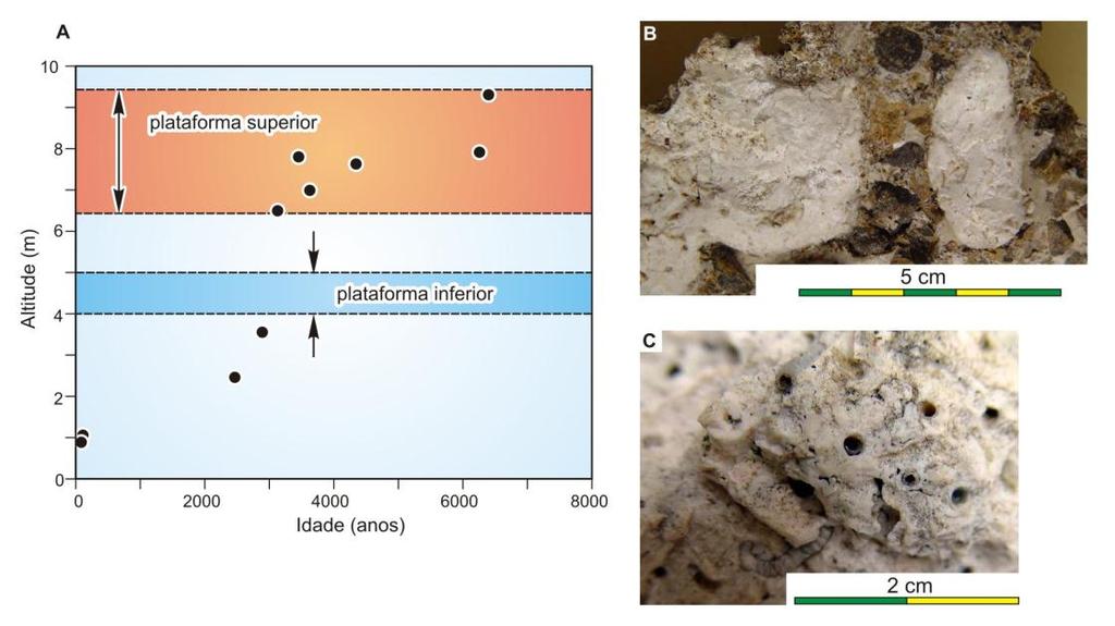 Datação 14 C para fósseis coralígenos Foram realizadas dez datações pelo método 14 C para os fósseis coralígenos coletados a partira da Ilha Belmonte.