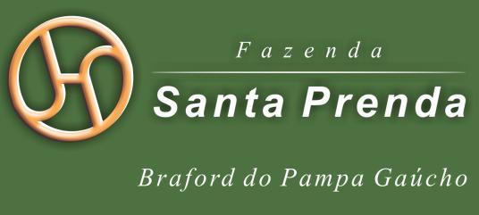 42 VAQUILHONAS BRAFORD FAZENDA Braford 3 ANOS Lote TAT Nascimento GS EG Pai Mãe Peso M029 02/09/2011 38 PRENHA SP BARÃO VERMELHO 27 38-H186 480