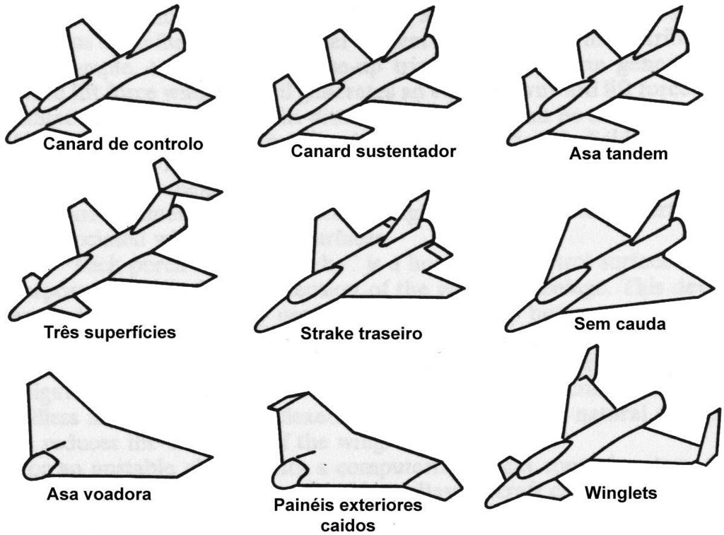 Geometria e configuração da cauda (4)