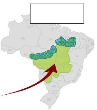 Brasil - Uso da terra Divisão territorial (milhões de ha) % Total area Brazil 851 100% % Área Agricultável Área agricultável 329.9 38.8% 100.