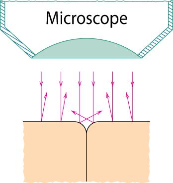Observação microscópica