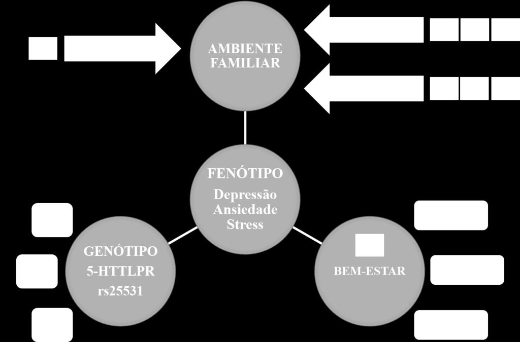 L1S1. E no terceiro grupo foram incluídos os indivíduos cujo genótipo apresenta eficácia transcricional reduzida S1S1.