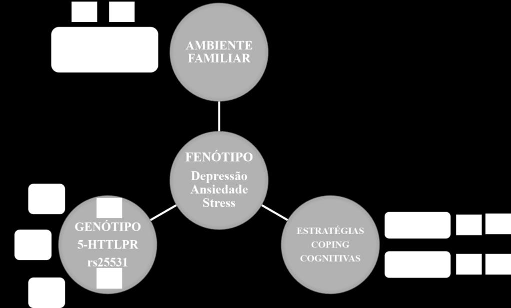 Figura 4 Representação esquemática do conjunto de fatores que podem influenciar o fenótipo medido pelas Escalas de Depressão, Ansiedade e Stress: i) genótipo 5-HTTLPR/rs25531 - L1L1, L1S1 e S1S1